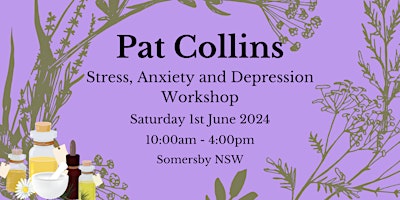 Imagem principal do evento Pat Collins Workshop Stress, Anxiety and Depression