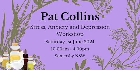 Pat Collins Workshop Stress, Anxiety and Depression