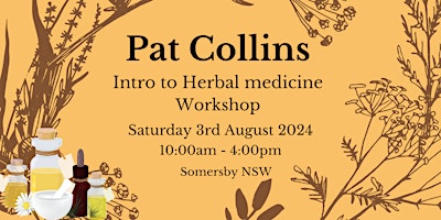 Hauptbild für Pat Collins Workshop Intro to Herbal Medicine