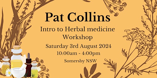Imagem principal do evento Pat Collins Workshop Intro to Herbal Medicine