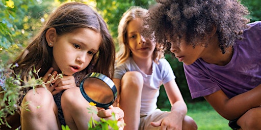 Hauptbild für Nene Wetlands Forest School for Home Schoolers 18th April 2024