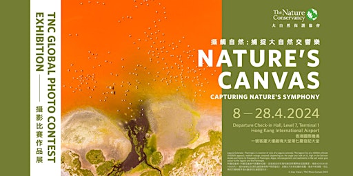 Imagem principal do evento NATURE’S CANVAS – Capturing Nature's Symphony by The Nature Conservancy