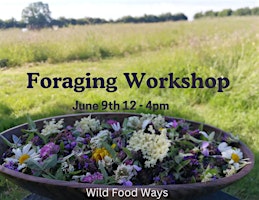 Primaire afbeelding van Foraging Workshop