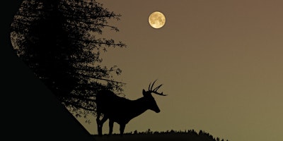 Immagine principale di Deer Full Moon Soundbath 