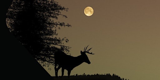 Imagem principal do evento Deer Full Moon Soundbath