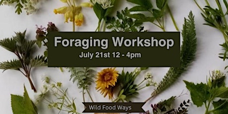 Primaire afbeelding van Foraging Workshop