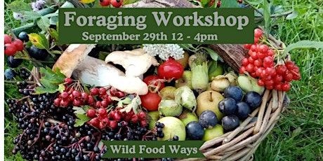 Primaire afbeelding van Foraging Workshop