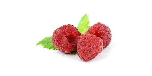 Primaire afbeelding van Pick Your Own (PYO) Raspberries