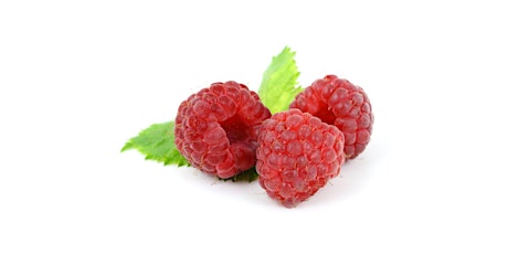 Pick Your Own (PYO) Raspberries