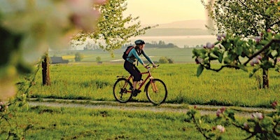 Primaire afbeelding van Social Bike Tour to Oasi Olimpia