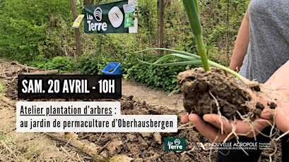 Atelier Plantation d’arbres au jardin de permaculture d'Oberhausbergen