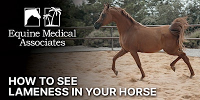 Imagem principal do evento FREE Dinner/Education Event: How to See Lameness in Your Horse