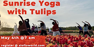 Imagem principal de Sunrise Yoga with the Tulips: 2 Dates available