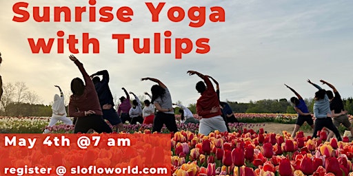 Hauptbild für Sunrise Yoga with the Tulips: 2 Dates available