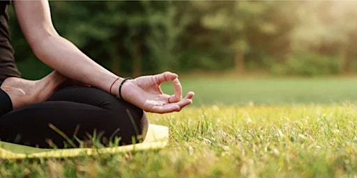 Hauptbild für Outdoor Yoga and Wine Sip! Black River Winery.