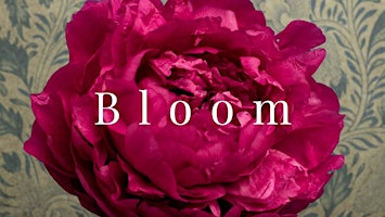 Bloom Documentary Screening & Birth Doula Discussion primary image
