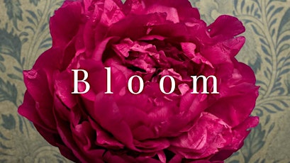 Bloom Documentary Screening & Birth Doula Discussion