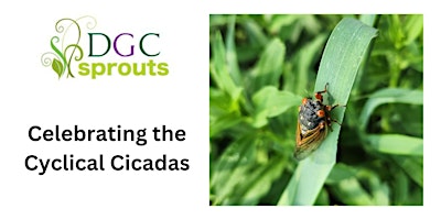 Imagen principal de DGC Sprouts Celebrate the Cyclical Cicada!