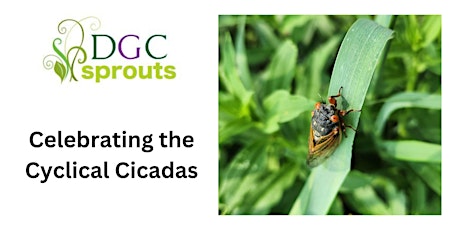 DGC Sprouts Celebrate the Cyclical Cicada!