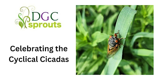 DGC Sprouts Celebrate the Cyclical Cicada! primary image
