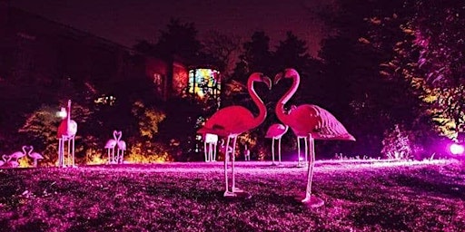 Imagen principal de FUORISALONE 2024 : Flamingos Cocktail Party & Degustazione Fernet Branca