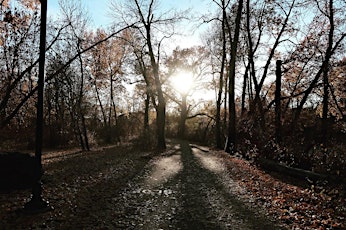 Walking for Wellness Nature Connection Group