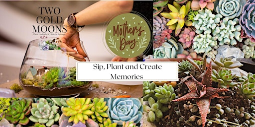 Mothers Day Sip & Plant primary image