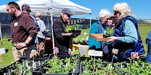 Alameda Backyard Growers’ 2024 Spring Plant Sale  primärbild