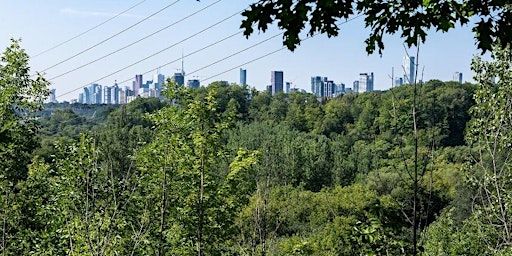 NatureTO: Trees Around the Branch Tour primary image