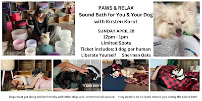 Imagen principal de Paws & Relax - Sound Bath for You and Your Dog