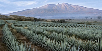 Imagem principal do evento Don Jose's Luxury Tequila Tasting