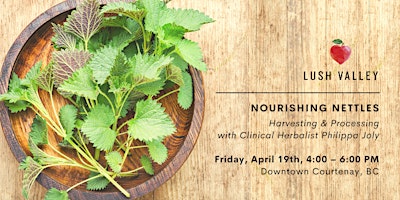 Immagine principale di Nourishing Nettles: Harvesting & Processing with Philippa Joly 