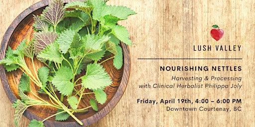 Hauptbild für Nourishing Nettles: Harvesting & Processing with Philippa Joly