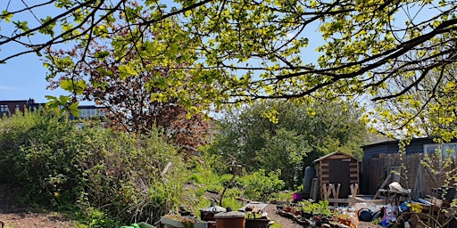 Hauptbild für Nature Explorers