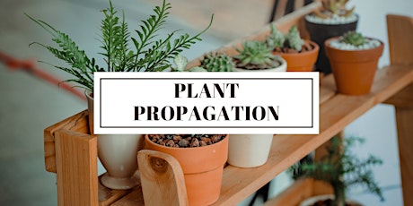 Imagem principal de Plant Propagation