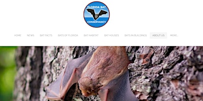 Primaire afbeelding van Florida Bat Conservancy Nature Presentation