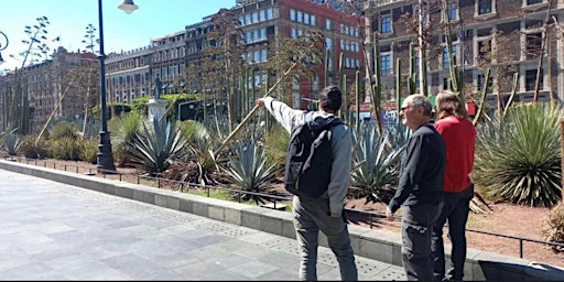 Cultural and Culinary Walking Tour of Mexico City primary image