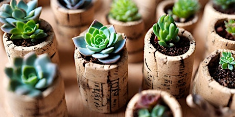 DIY Mini Succulent Magnets w/Wine Corks