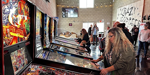 Copy of Asylum Brewing Pinball League primary image