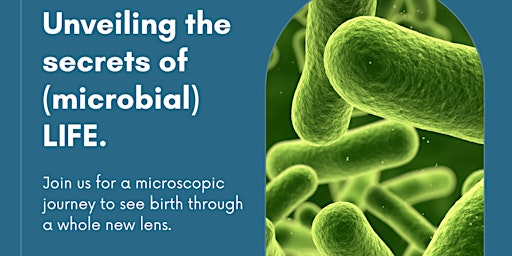 Microbirth Class primary image