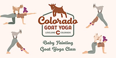 Imagem principal do evento Baby Fainting Goat Yoga