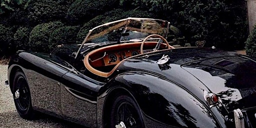 Cars Cohibas and Luxury Interiors primary image