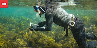 Imagem principal do evento Nature Matters: Sea Urchin Predators and Population