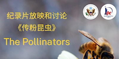 Imagen principal de 纪录片放映和讨论：《传粉昆虫》Film Screening and Discussion: The Pollinators