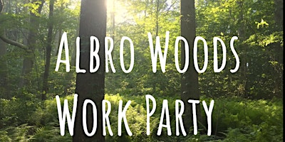 Friends of Albro Woods Work Party primary image