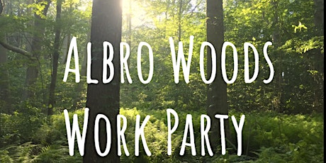 Friends of Albro Woods Work Party