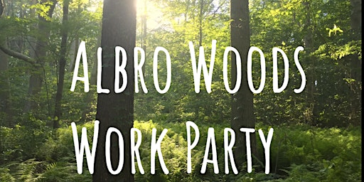 Friends of Albro Woods Work Party  primärbild