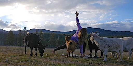 Primaire afbeelding van GOAT YOGA  - The Herbal Counter Sponsored Event