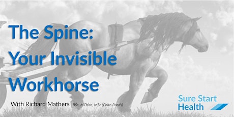 The Spine: Your Invisible Workhorse