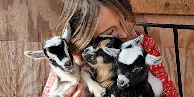 Baby Goat Social primary image